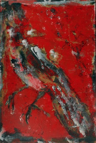 Cardenal D, 2023 - GORODINE_ALEXIS_1092