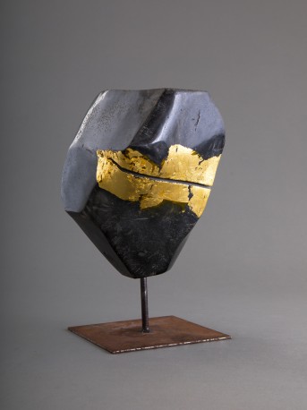 Heaume doré - MONFLEUR_Denis_26