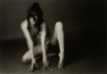 Vanessa n°2/8, 1998