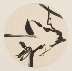 Les circassiens de la mer - 17/30, 2003