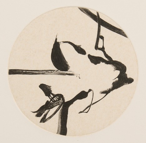 Les circassiens de la mer - 17/30, 2003 - GRALL_NATHALIE_1477