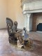 Les couturières et la lectrice et son chat