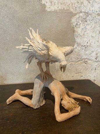 L'enlèvement par l'oiseau - FERRE_FANNY_430