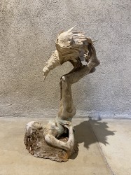Oiseau au bout des pieds
