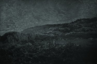 Fragment d'une saison pluvieuse, 2019