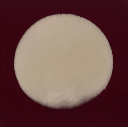 La forme XVII - 1/1, 2025