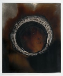 Ouroboros 23, 2016-2021