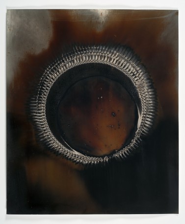 Ouroboros 23, 2016-2021 - COLVILLE_CHRISTOPHER_5