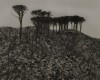 Blank002 - EAI, 2025