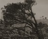 Blank 004 - EAI, 2025