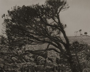 Blank 004 - EAI, 2025