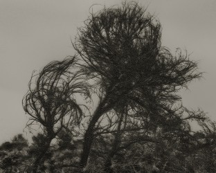 Blank 006 - EAI, 2025
