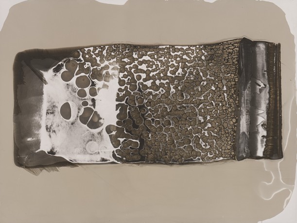 Trace et mordant 5 - 1/1, 2015 - SIMON_Silvi_4