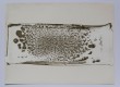 Trace et mordant 8 - 1/1, 2015