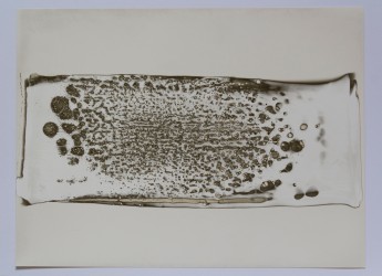 Trace et mordant 8 - 1/1, 2015
