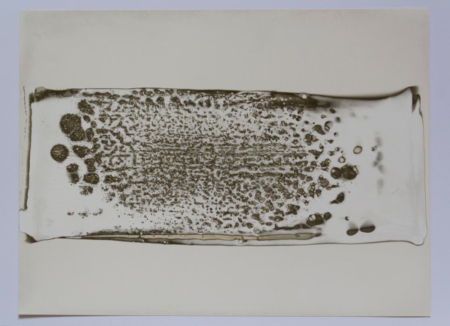 Trace et mordant 8 - 1/1, 2015 - SIMON_Silvi_5
