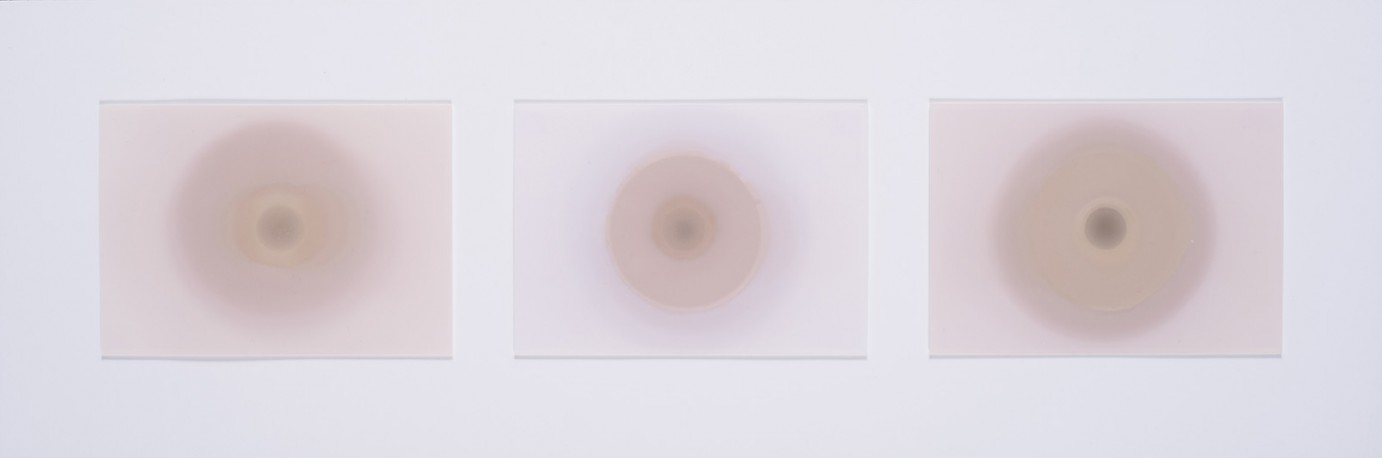Lumière fixée - tryptique 3 - 1/1, 2014 - SIMON_Silvi_10