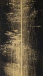 Ylem II - 1/1, 2025
