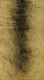 Ylem III (I) - 1/1, 2025