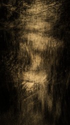 Ylem VII - 1/1, 2021