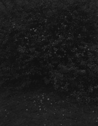 GR 01 - n°5/15, 2016