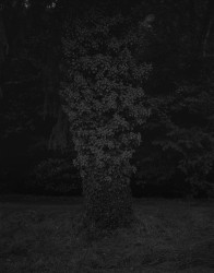 GR 03 - n°3/15, 2016