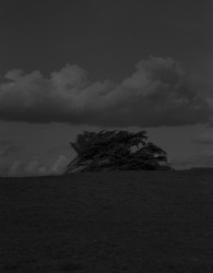 GR 25 - n°3/15, 2016