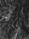 Sans titre 1 - n°3/3 - Série Un rayon dans cette mer sur une lune, 2019