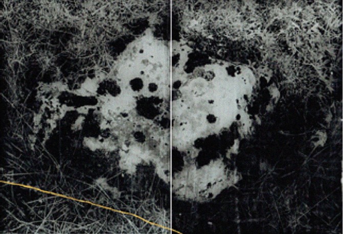Gros caillou - diptyque n°1/3 - série La noche oscura, 2017-2018 - BOUDOT_Anais_7