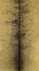 Ylem III (I) - 1/1, 2025