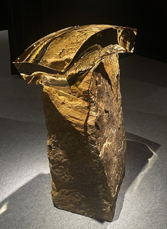 Grand capteur, 2025 - ZBYNOVSKY_VLADIMIR_94