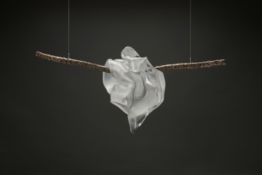 Concordance des temps XX, 2025