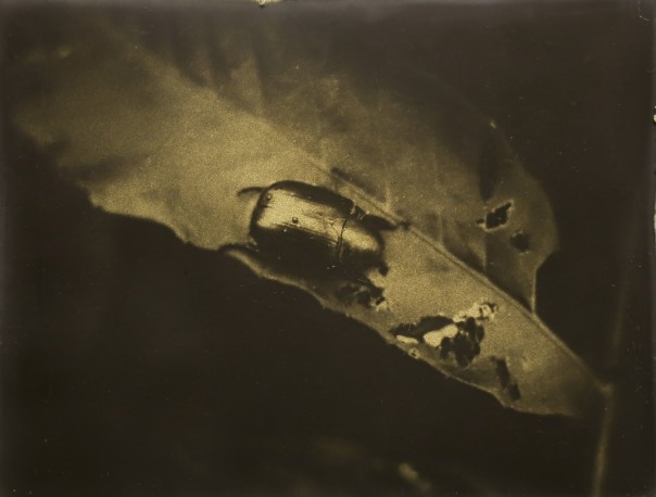 Glanage n° 54 - 4/10 - NINOMIYA_NAOHIRO_7