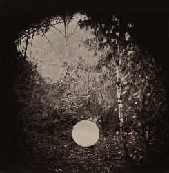 Useful lies XVI- n° 1/1