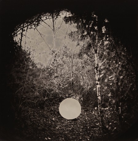 Useful lies XVI- n° 1/1 - ANTOINE_ERIC_95