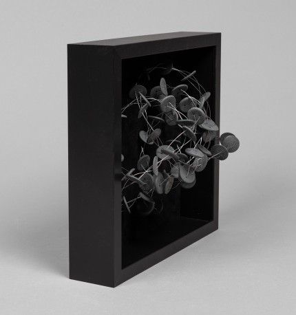 BOTON I ACER - LLAUDER_MIA_122