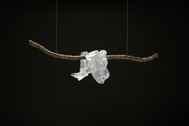 Concordance des temps XXIII, 2025