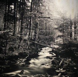 Magel, printemps light - 1/1, 2023