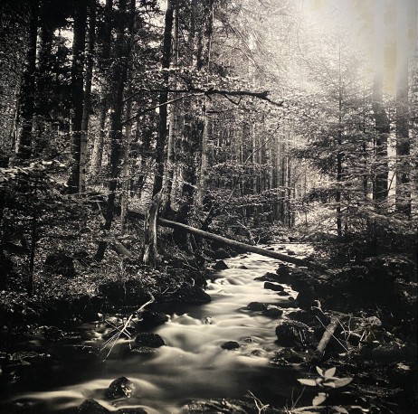 Magel, printemps light - 1/1, 2023 - ANTOINE_ERIC_84