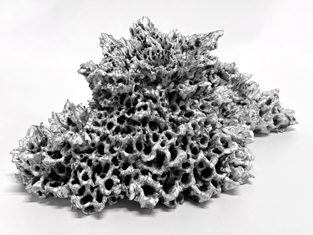 Gloc 44, 2025 - LELIEVRE_ANAIS_123