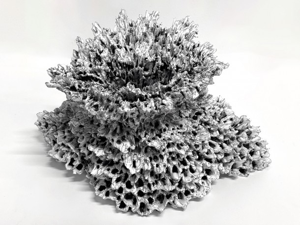 GLOC 49, 2025 - LELIEVRE_ANAIS_124