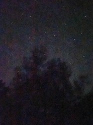 Un matin n°1/10, 2023