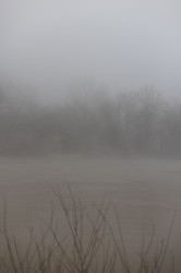 Sans titre n°1/5, 2024