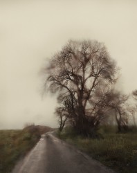 VPC_08 - n°5/15, 2019