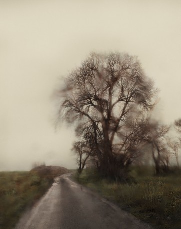 VPC_08 - n°5/15, 2019 - ARIÑO_GASSUL_19