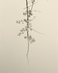 VPC_40 - n°4/15, 2019