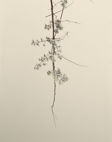 VPC_40 - n°4/15, 2019 - ARIÑO_GASSUL_22