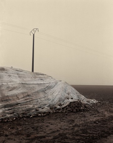 VPC_02 - n°6/15, 2019 - ARIÑO_GASSUL_23