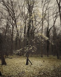 VPC_09 - n°3/15, 2019