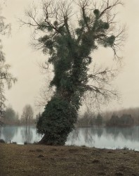 VPC_13 - n°4/15, 2019